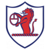 https://img.lzzhonghe.com/img/football/team/11fb72f7b5eacfc881ee11bac75871fa.png