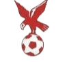 https://img.lzzhonghe.com/img/football/team/4802d26df935b78bb2fcdbbff36e8864.png