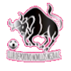 https://img.lzzhonghe.com/img/football/team/97c3ef30cac48cadff97605e387feefa.png