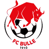 https://img.lzzhonghe.com/img/football/team/b201265fa89720bf8cd8ef95549a4738.png