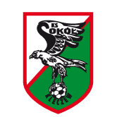 https://img.lzzhonghe.com/img/football/team/e6a8908dd206e2ea02d9803c82c60bba.png