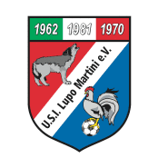 https://img.lzzhonghe.com/img/football/team/f9725ff7b1877febc0f8a12225eca971.png